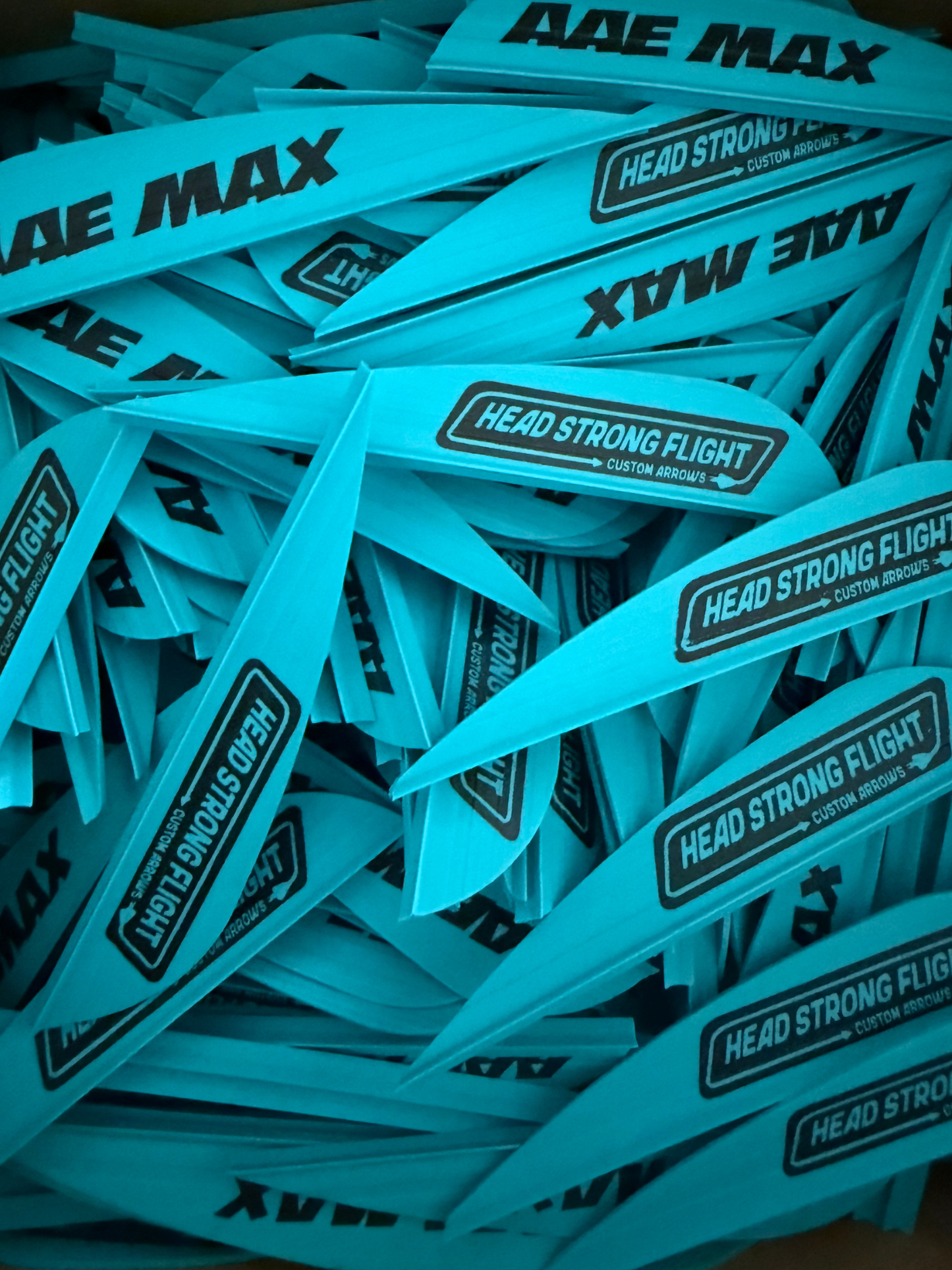 Head Strong Flight Logo AAE Max Stealth Vanes