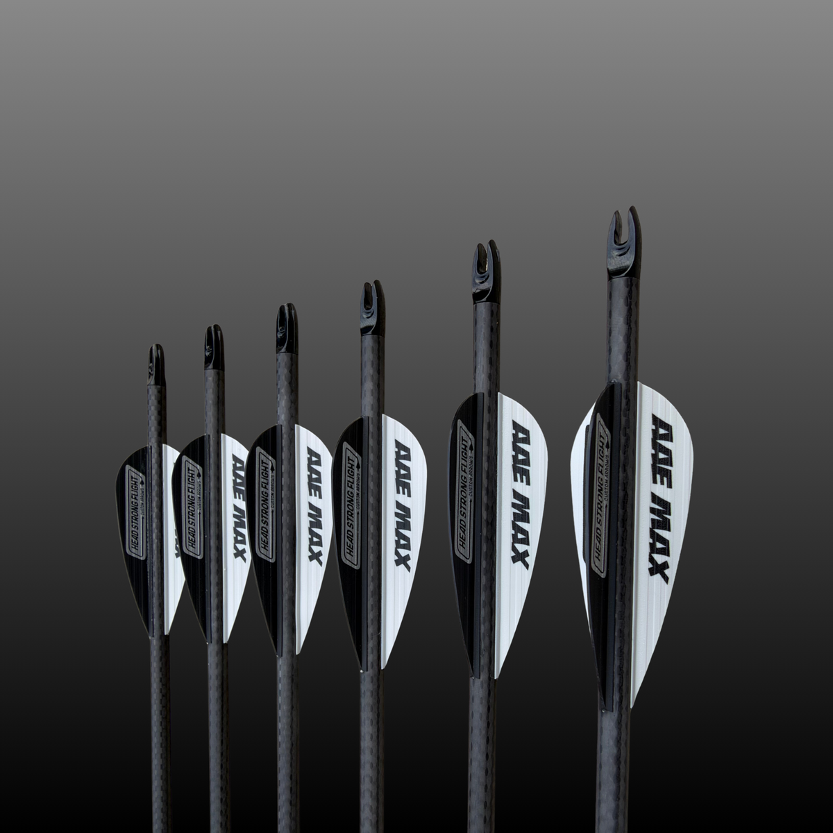 Head Strong Flight ANVIL Pre-Fletched Arrows