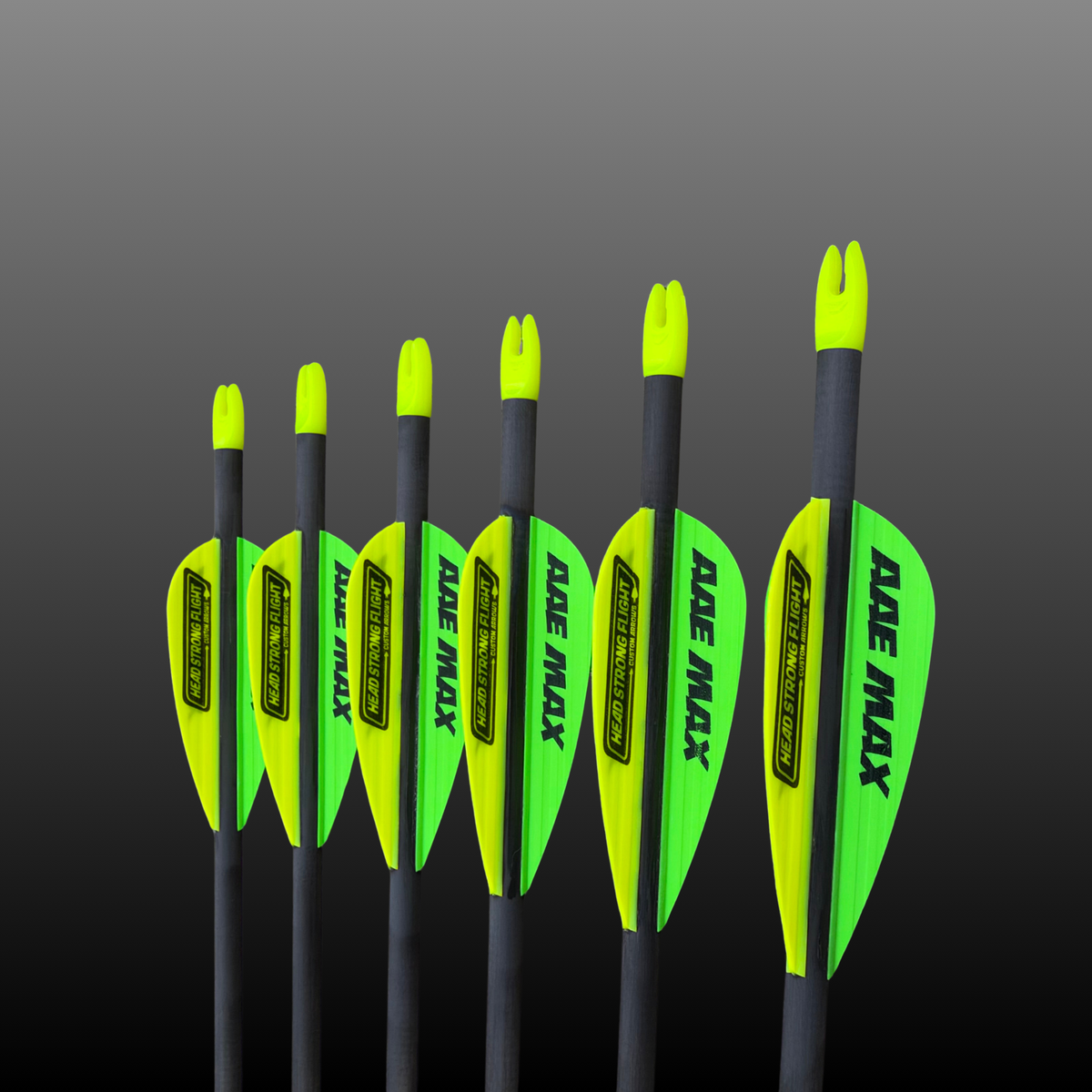 Head Strong Flight Outlast Pre-Fletched Arrows